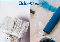 Paint Odor in House: Causes, Effects, and Ways to Get Rid of It