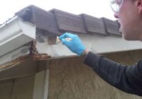 How to Repair Dry Rot: A Comprehensive Guide