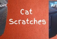 How to Repair Cat Scratched Leather Couch: Save Your Furniture