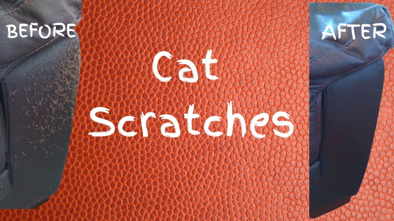 How to Repair Cat Scratched Leather Couch: Save Your Furniture